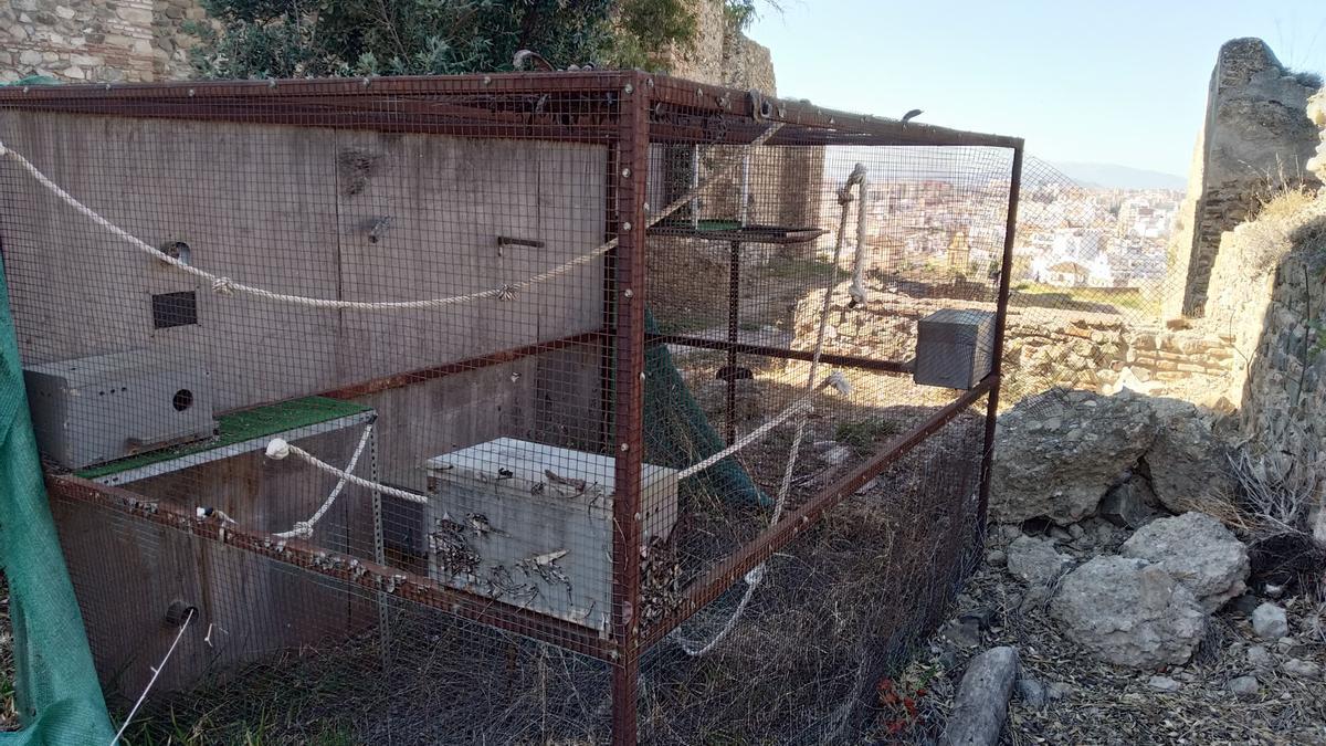 Los bomberos  inspeccionan dos pozos en la Alcazaba y Gibralfaro. Foto: Alejandro Santana Almendro