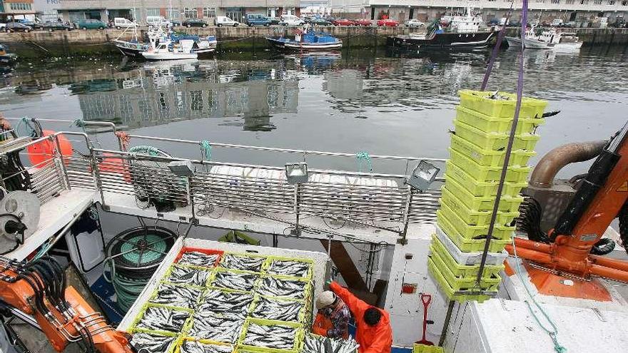 Descarga de pescado en la lonja de O Berbés.  // Jesús de Arcos