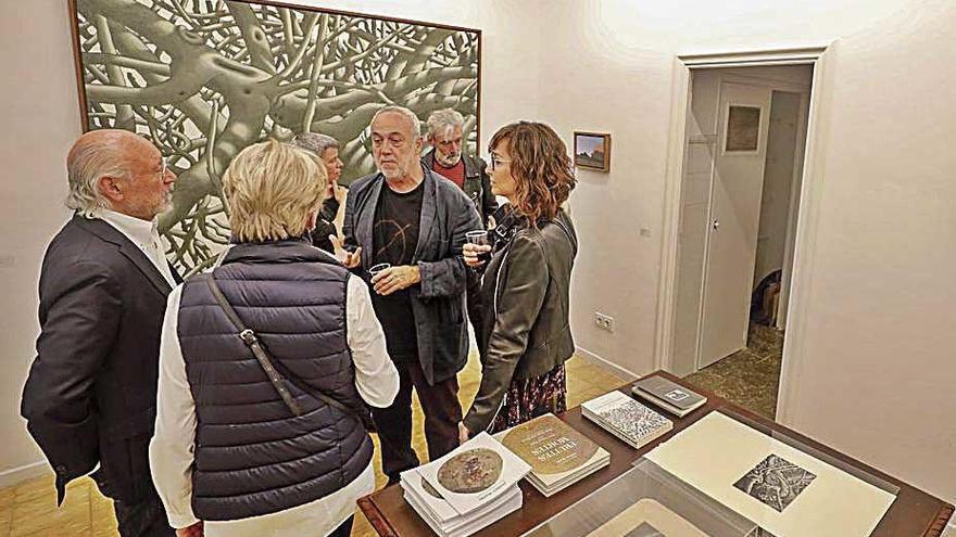 Andreu Maimó, una mirada cercana