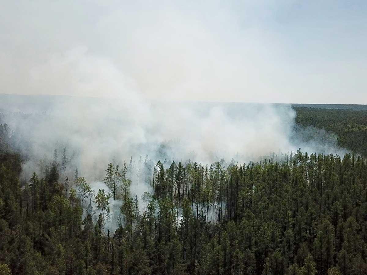 Incendio forestal en el Ártico