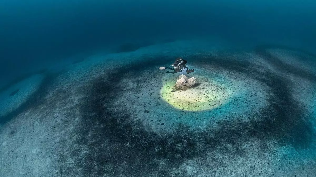 ¿Qué son los misteriosos anillos de 20.000 años de edad que hay en el fondo del Mediterráneo?