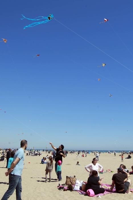 Festival del Viento 2016 en la Malva-rosa