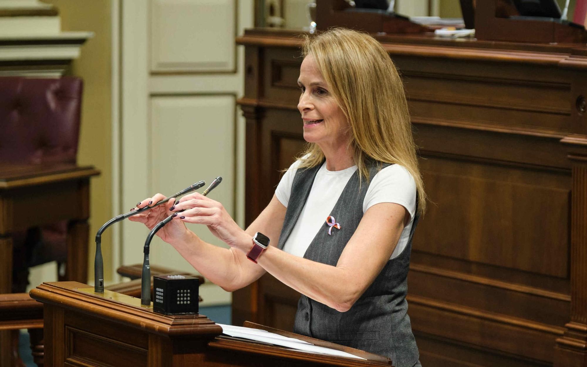 Sesión plenaria del Parlamento de Canarias.