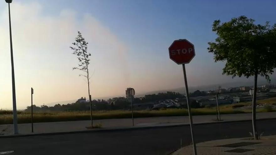 Supuesta nube de polvo en Cosmos