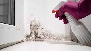 Adiós a tapar el moho de la pared con pintura: esta mezcla que tienes en casa te ahorra tiempo y esfuerzo