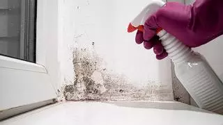 Adiós a tapar el moho de la pared con pintura: la mezcla casera que te ahorra tiempo y esfuerzo