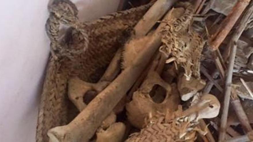 Troben ossos humans en un fals sostre a València