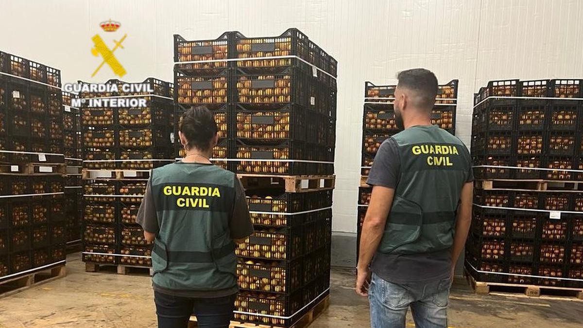 Imagen de los agentes de la Guardia Civil que han participado en la operación.