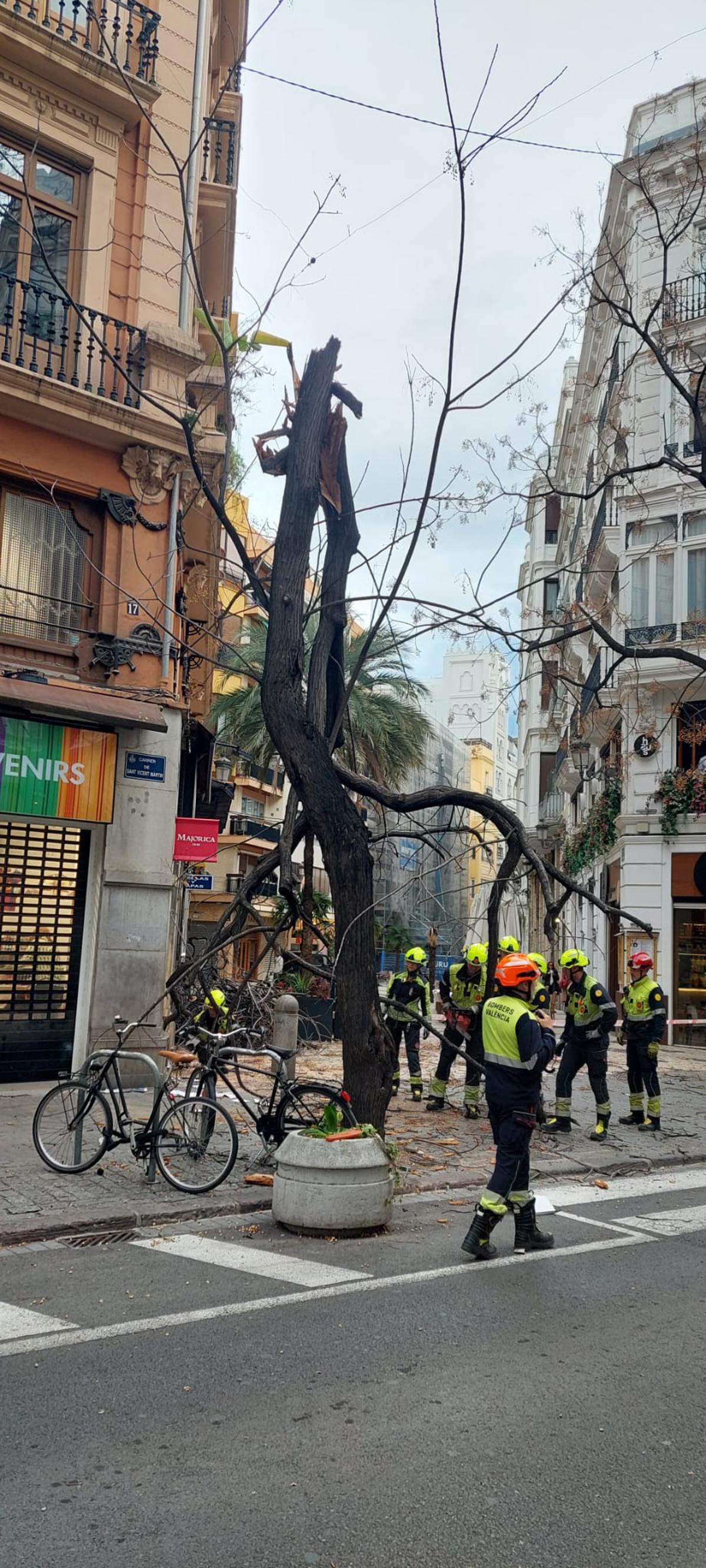 El árbol se ha partido porla mitad.