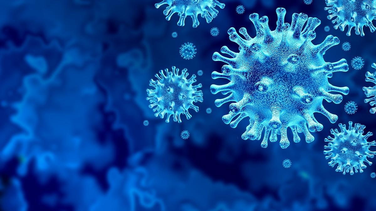 ¿Cuánto tarda en hacer efecto la vacuna del nuevo coronavirus?