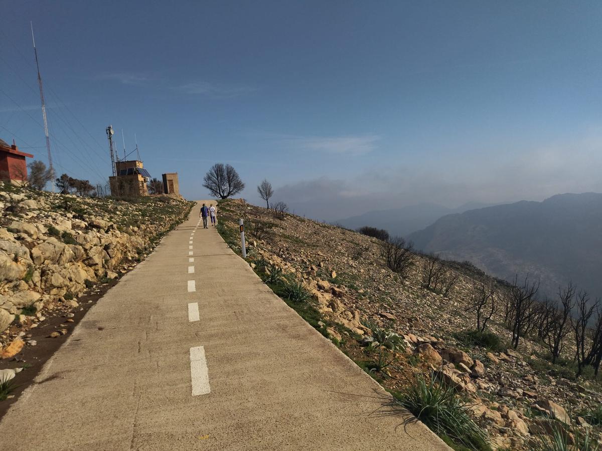 Desolación, erosión y bandadas de cuervos en las laderas del Coll de Rates arrasadas hace 8 meses por el fuego (imágenes) Desolación, erosión y bandadas de cuervos en las laderas del Coll de Rates arrasadas hace 8 meses por el fuego (imágenes)