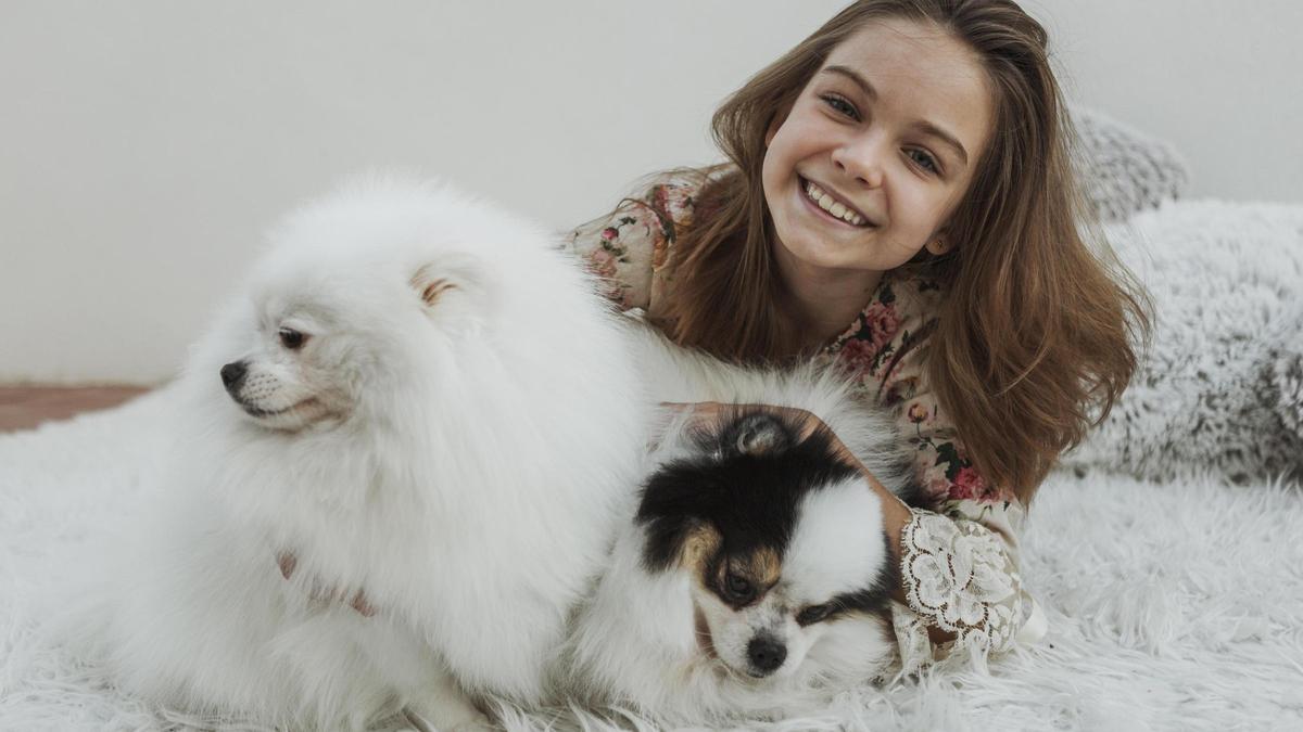 Dos gossos de raça pomerània amb la seva jove propietària