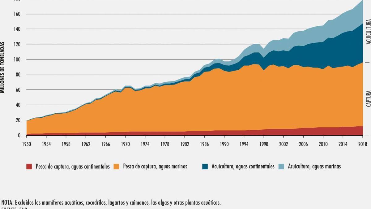 Producción mundial de la pesca y la acuicultura en 2018.