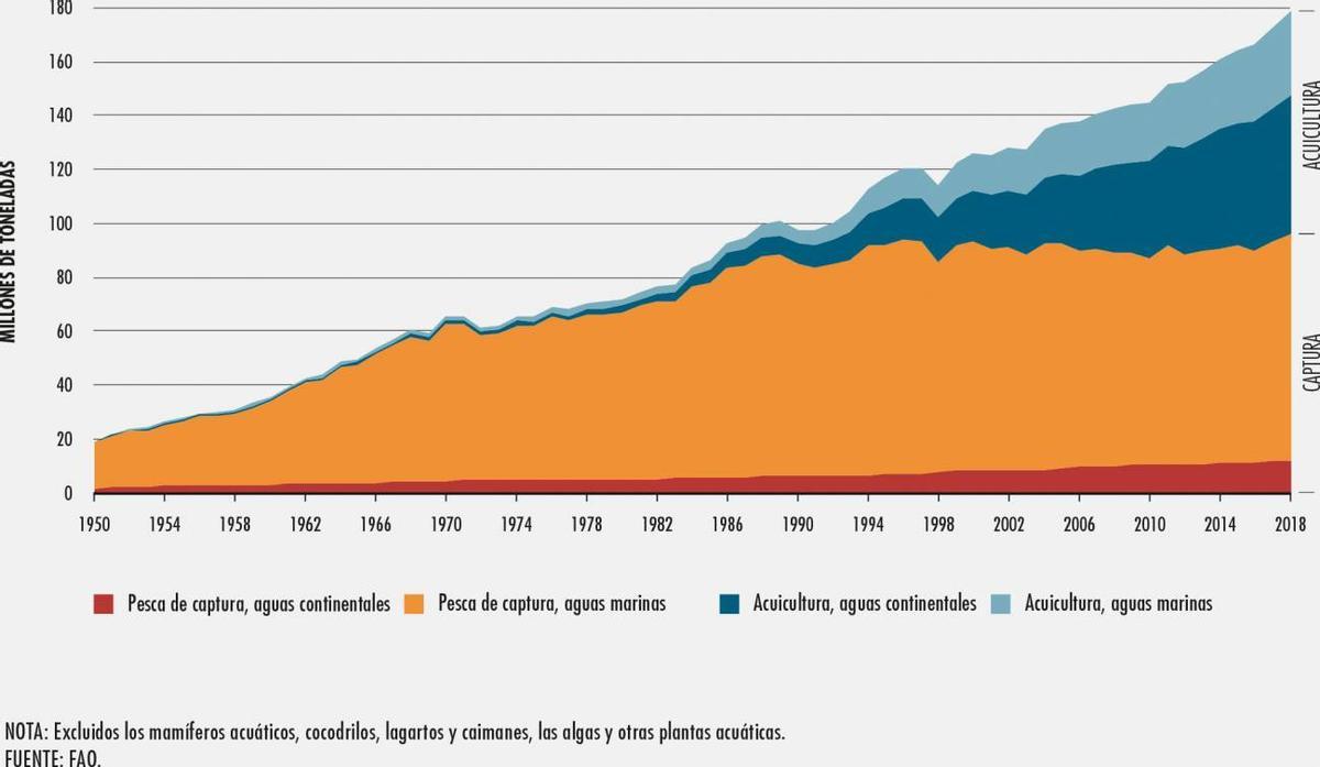 Producción mundial de la pesca y la acuicultura en 2018.