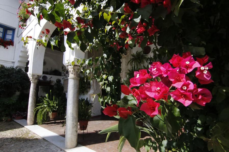 Los Patios de Córdoba: Santiago