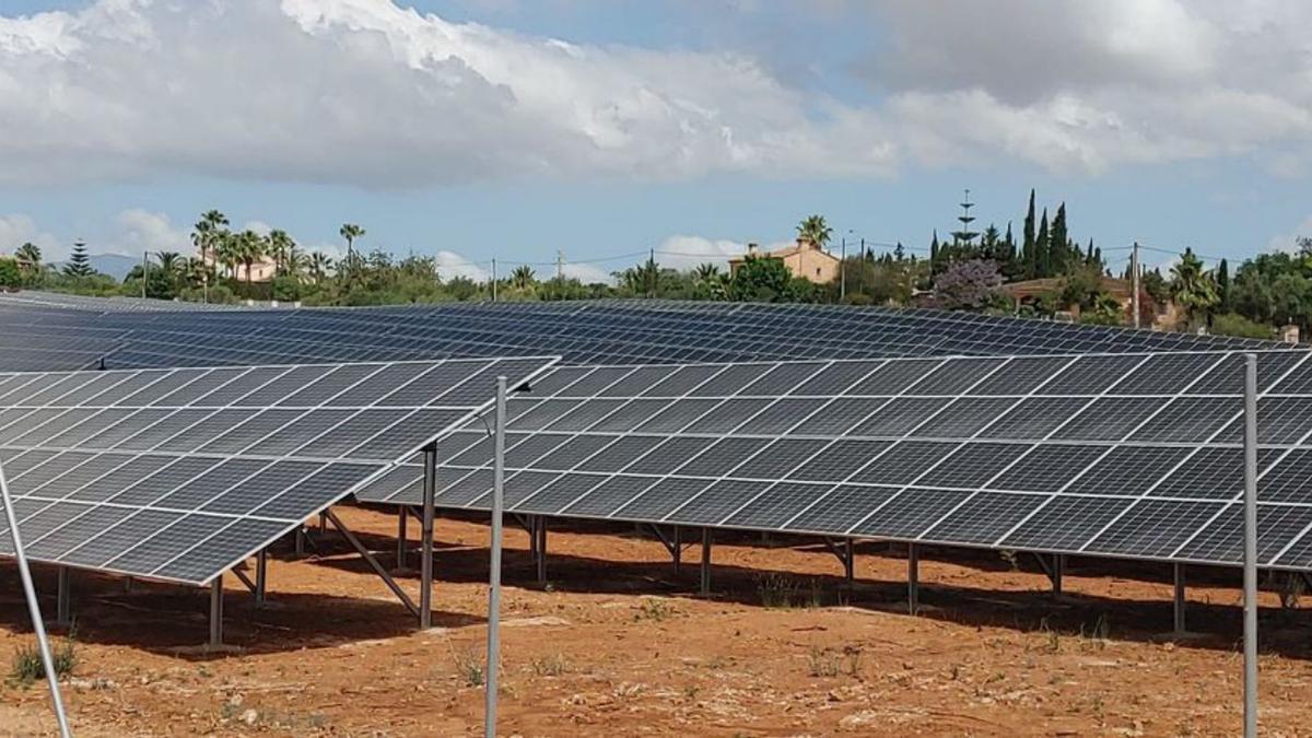 Imagen de la planta solar de Son Orlandis, en Palma. | ENDESA