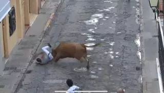 Espectacular cogida en los festejos taurinos de Algemesí