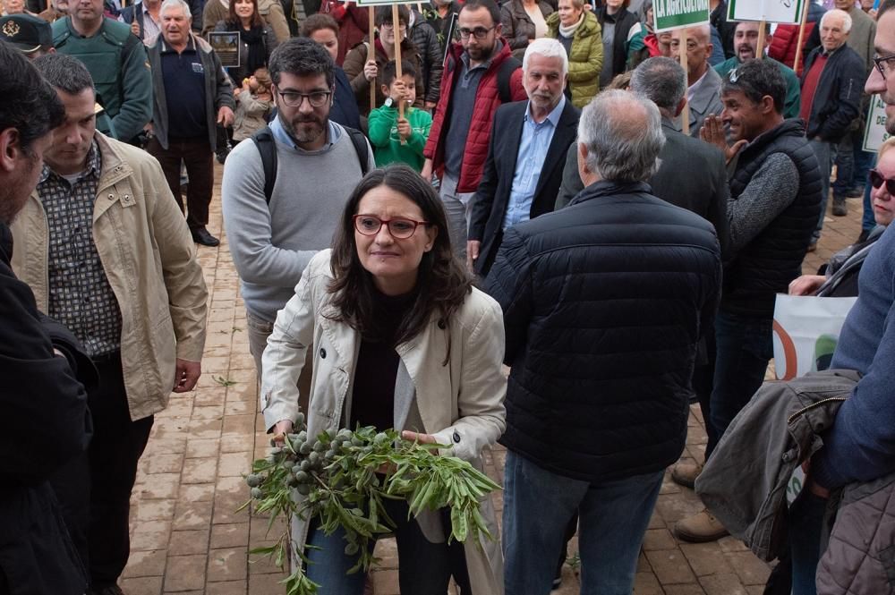 Manifestación por la Xylella en Altea