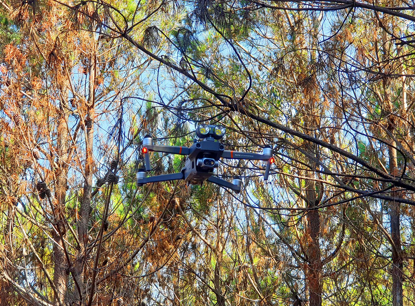 Rastreadores de incendios