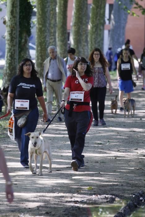 I Marxa Solidària Canina de Diari de Girona