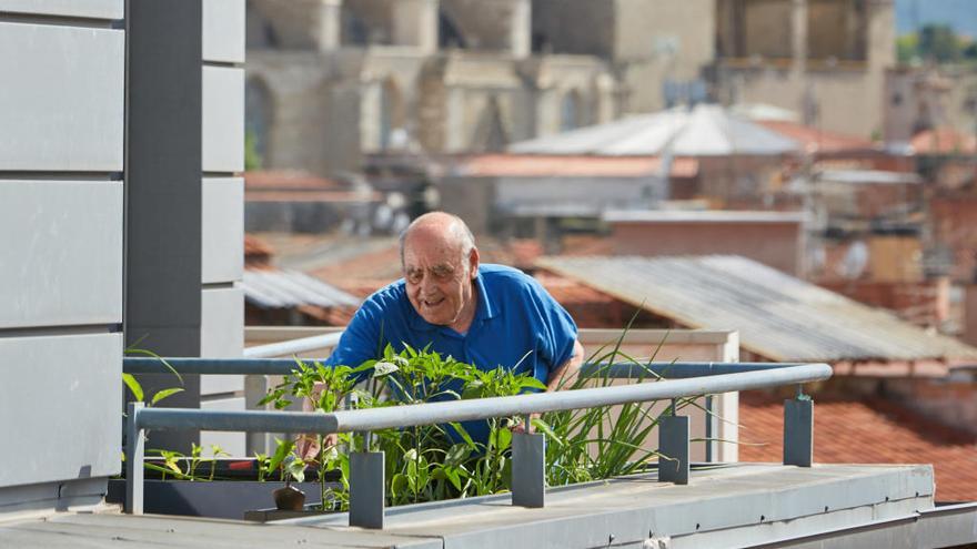 Cuidar l&#039;hort, activitat que satisfà els avis que viuen a la residència Sant Andreu