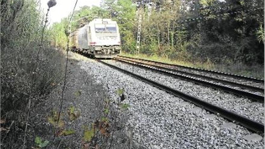 El cadàver estava estès sobre els rails en una tram de les vies que travessa una zona boscana, a Massanes.