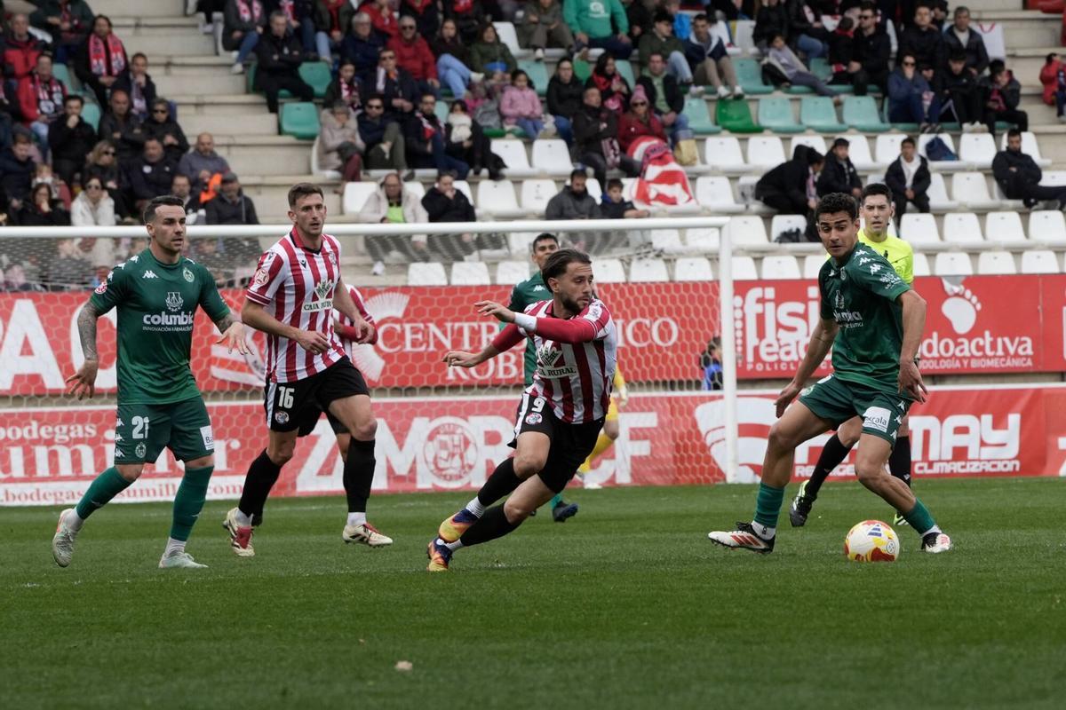 GALERÍA | La victoria del Zamora CF contra el Arenteiro, en imágenes