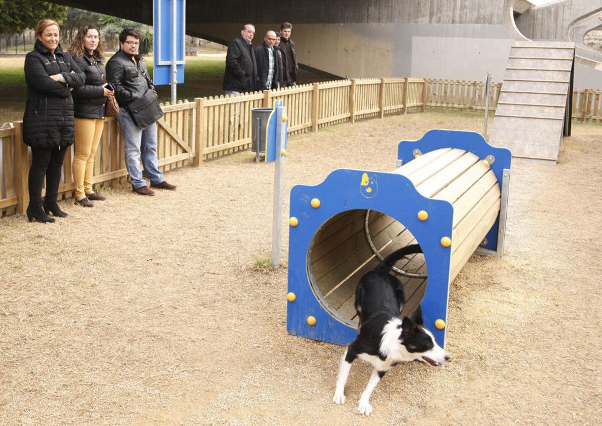 Valencia inaugura su primer circuito deportivo para perros