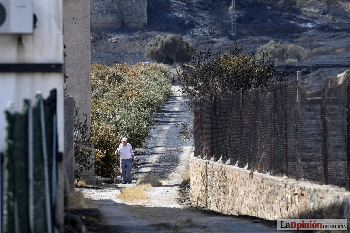 El día después del incendio de El Valle-Carrascoy, en imágenes