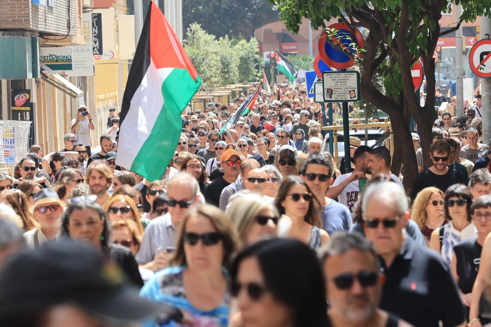 Manifestación a favor del pueblo palestino y la paz en Castellón
