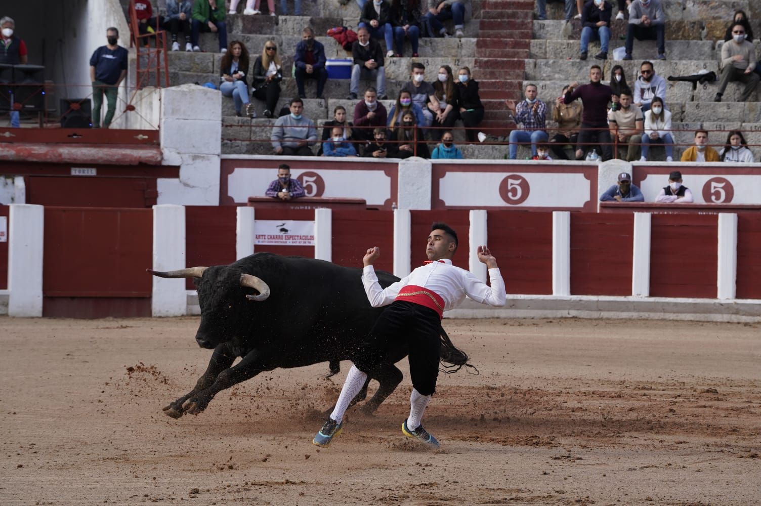 Concurso de Cortes Zamora 2021