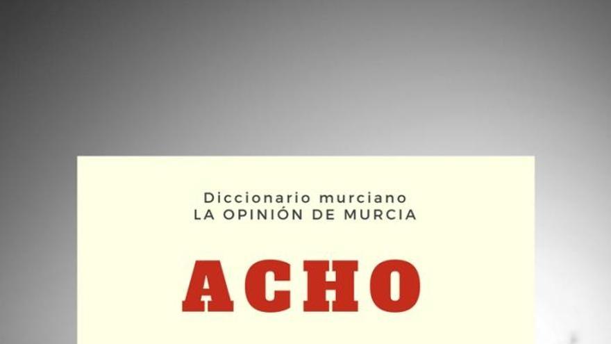 Diccionario murciano