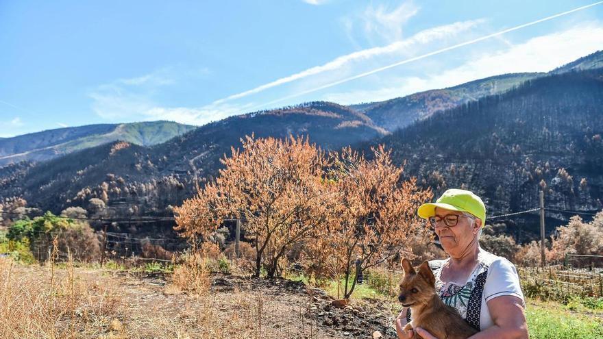 Galería | Las Hurdes, 15 días después del incendio forestal