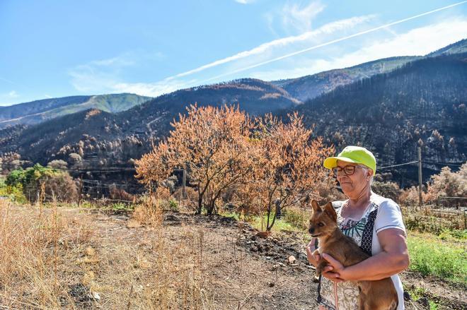 Galería | Las Hurdes, 15 días después del incendio forestal