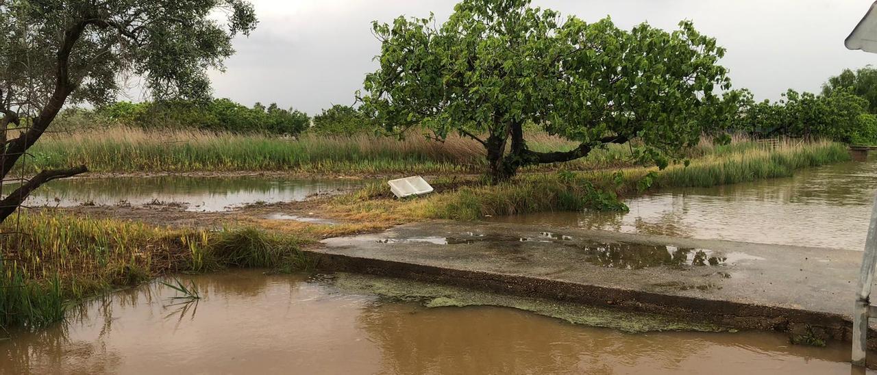 Nules, como evidencia su Marjal, fue una de las localidades con más precipitaciones, al acumular hasta 179 litros.