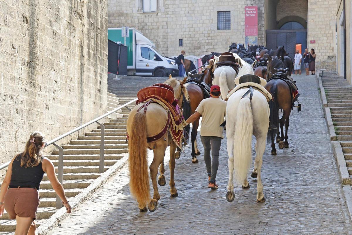 Les imatges d'un nova jornada del rodatge d''Enredados' a Girona Les imatges d'un nova jornada del rodatge d''Enredados' a Girona