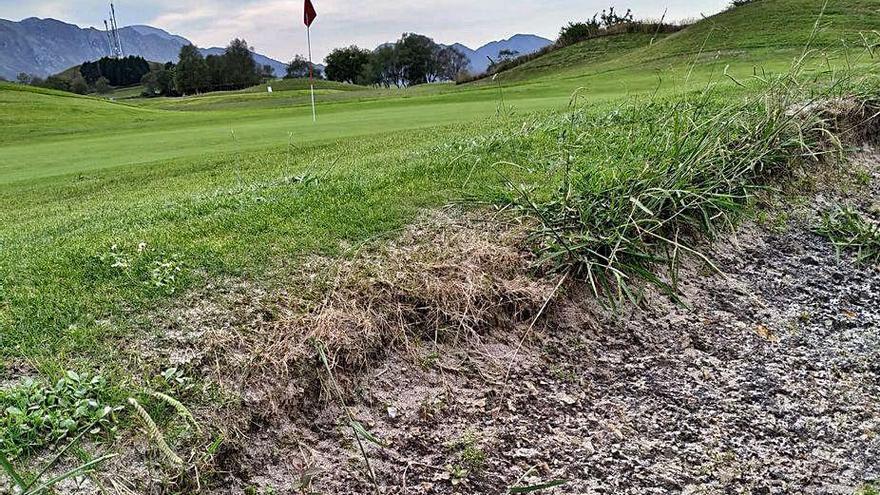 Estado de parte del césped del campo de golf; al fondo, un hoyo.