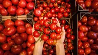 ¿Por qué no sale a cuenta producir tomates en Catalunya?