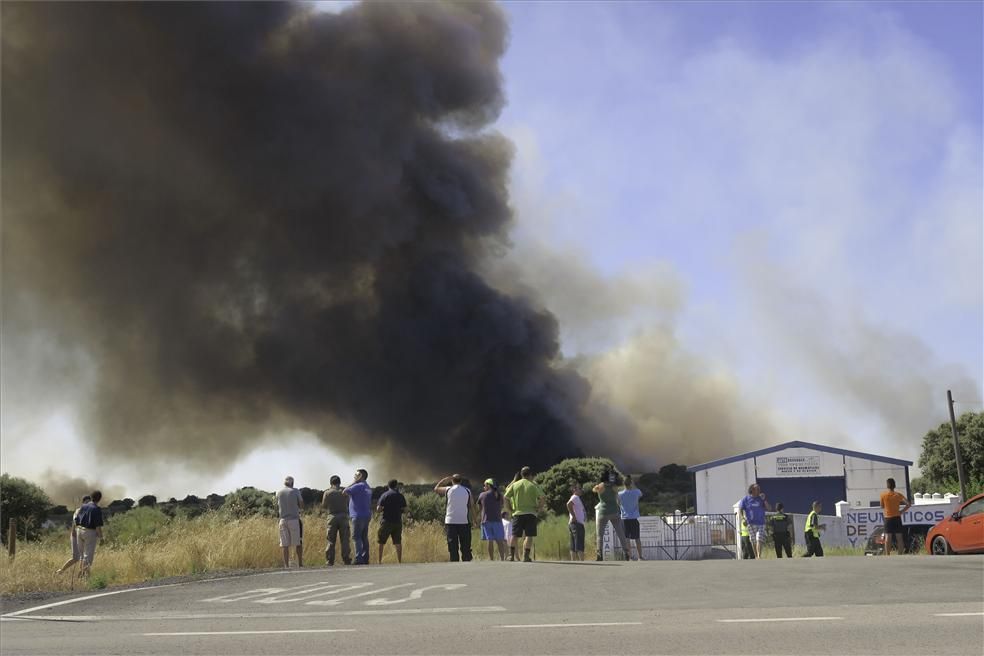 Incendio forestal en Cáceres