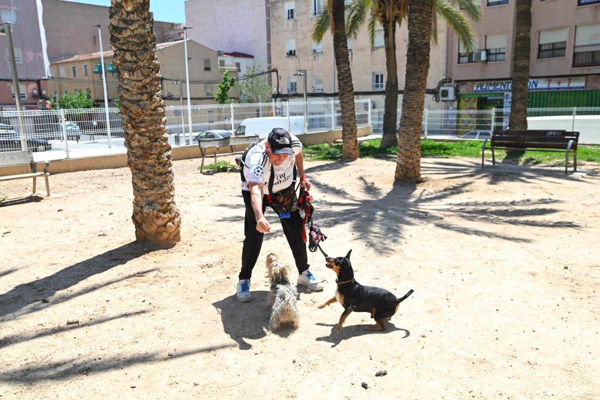 Un usuario con sus perros en el parque canino del Primero de Mayo en Elche