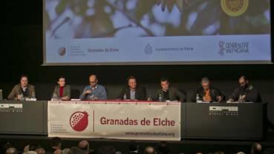 El Consejo Regulador de la Granada Mollar recaudará 36 euros por hectárea de cultivo