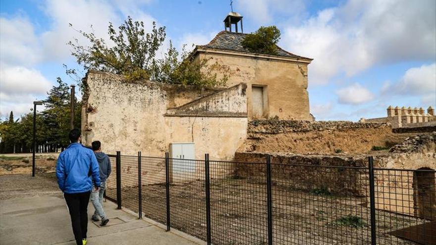 Piden trasladar un árbol de unos restos arqueológicos