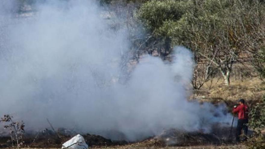 El Consell levanta la prohibición de las quemas tras las lluvias del pasado fin de semana