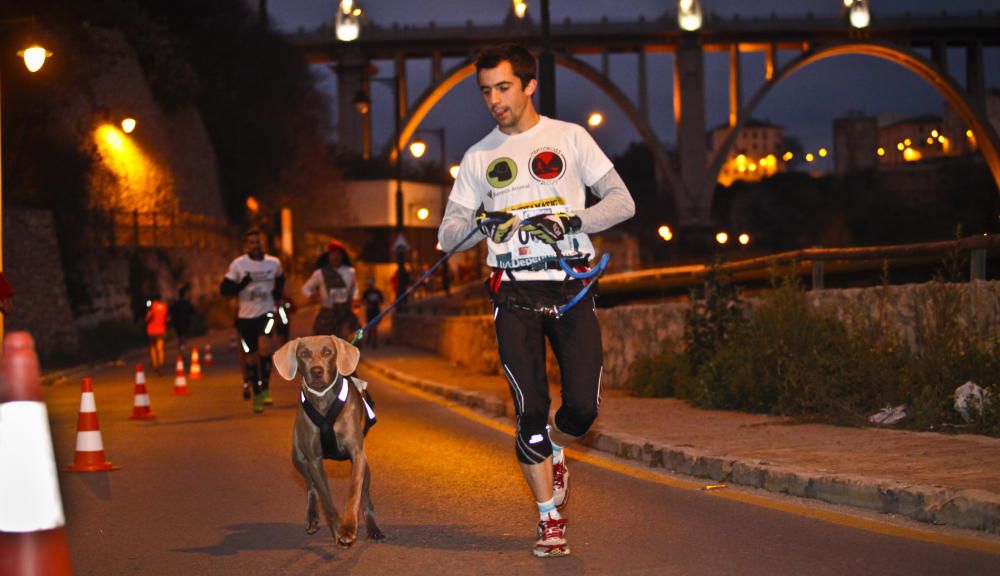 Más de 600 personas participan en la San Silvestre