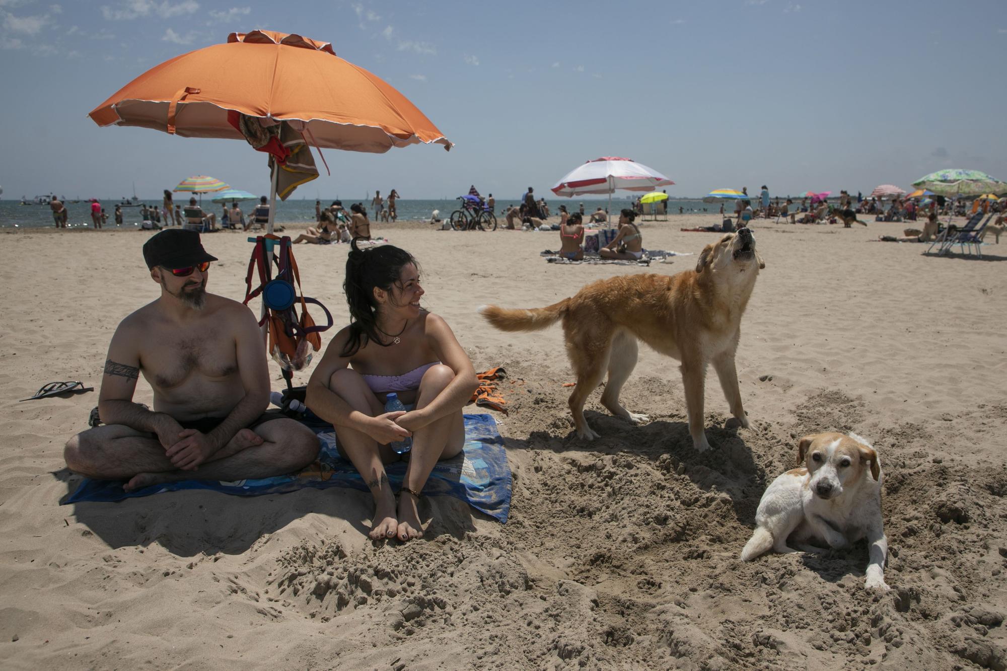 Playa canina de Pinedo