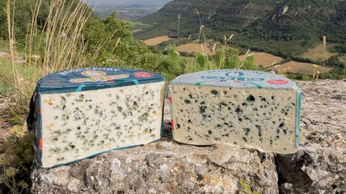 El queso roquefort de la quesería Carles.