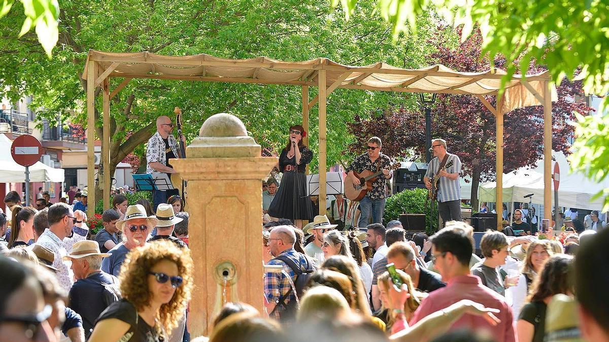 Actuación musical en una edición pasada de la Mostra de Vins Terres dels Alforins.