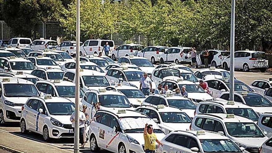 Imagen de una concentraciÃ³n de taxis en Palma.