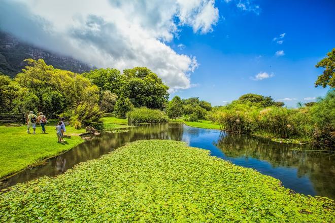 Kirstenbosch, Sudáfrica