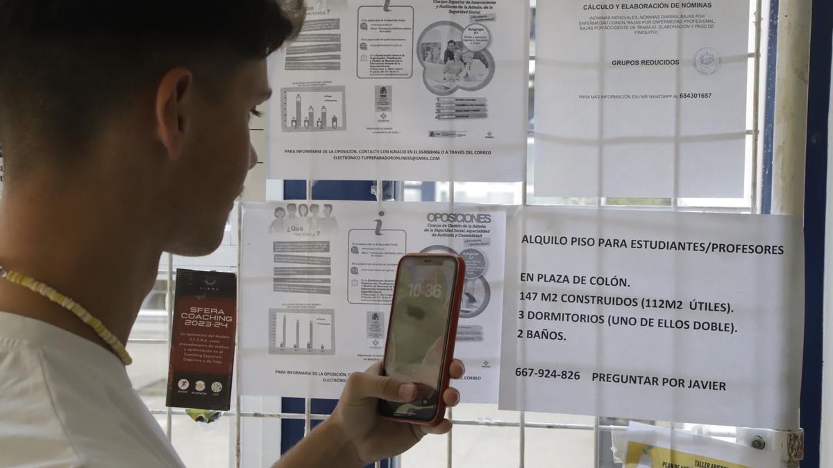 Un joven consulta un anuncio de un piso de alquiler en una facultad de la Universidad de Córdoba.